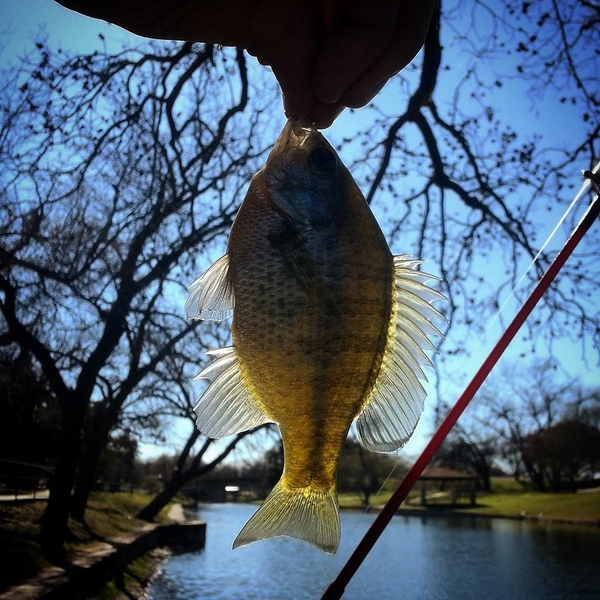 February 2015 Photo Contest Winner